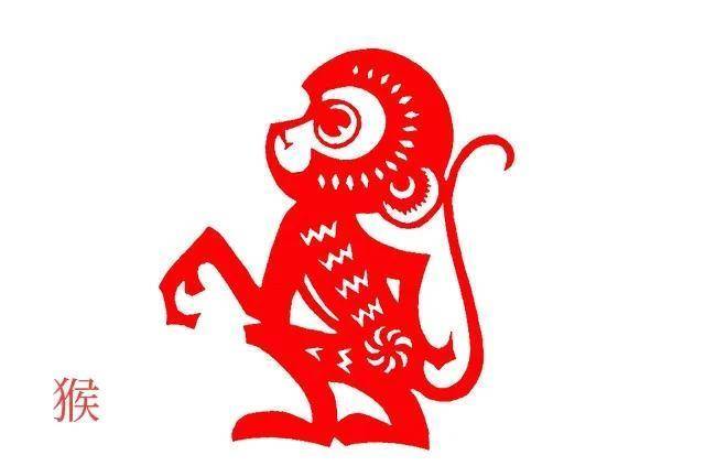 全年资料大全，生肖属性全解析