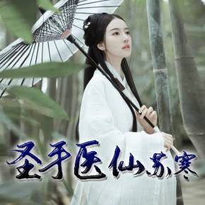 圣手医仙，苏寒与乔雨珊的传奇之旅（全文免费阅读）