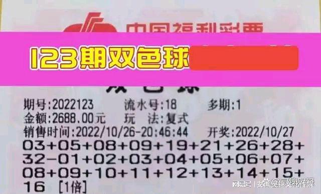 19年47期双色球开奖结果揭晓，幸运数字背后的故事与期待