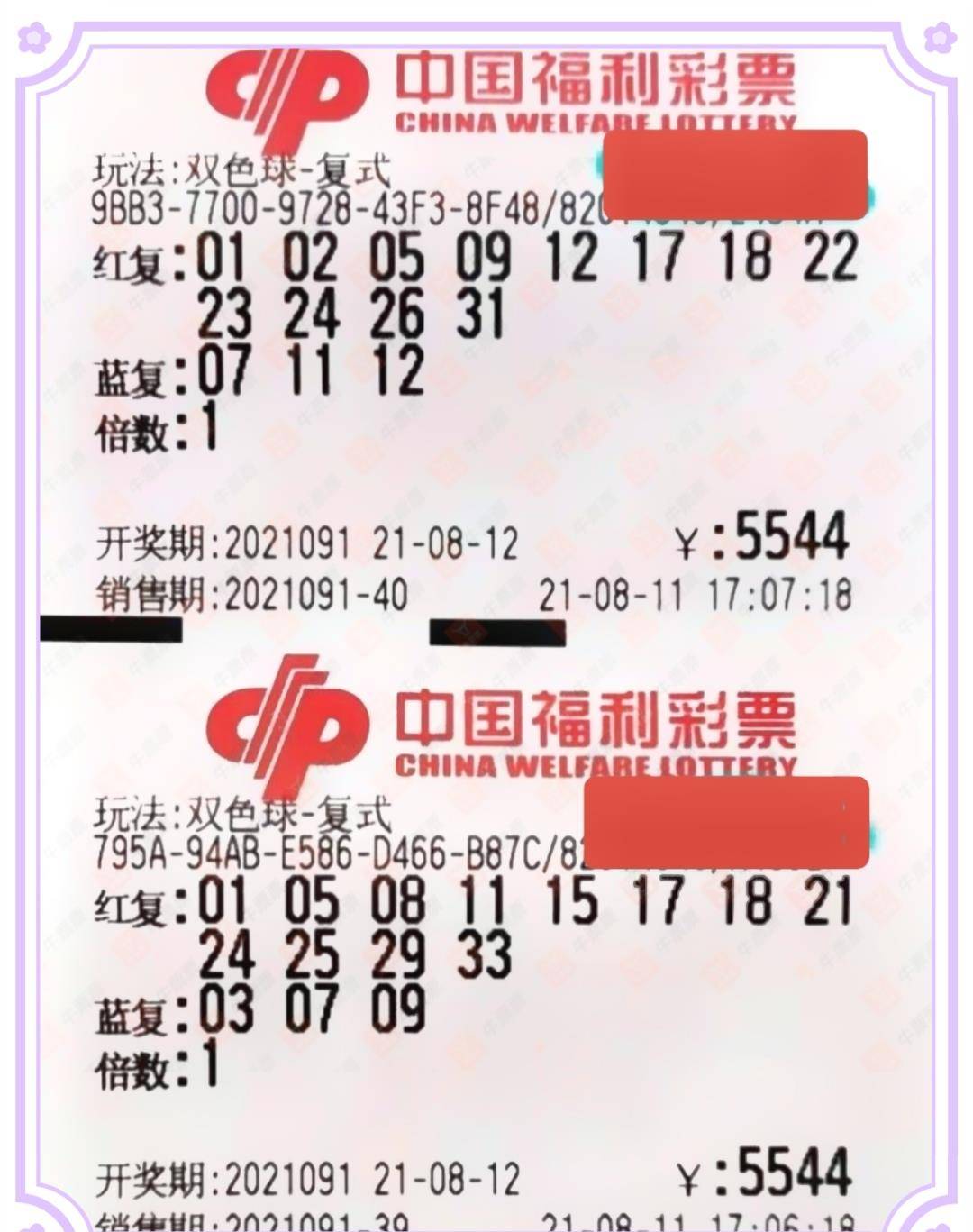 探索双色球全国频率推荐，理性投注的智慧之选