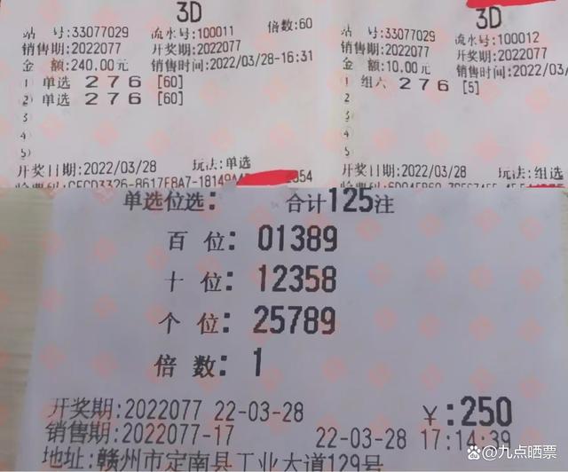 3D福彩与天中图库，揭秘胆码的奥秘