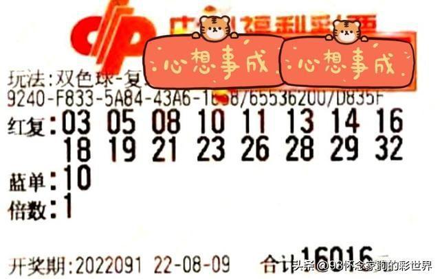 2013年双色球第7期，梦想与幸运的碰撞—揭秘开奖号码背后的故事