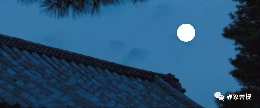 探索双色球，月之奥秘，生池与上山的奇妙邃境