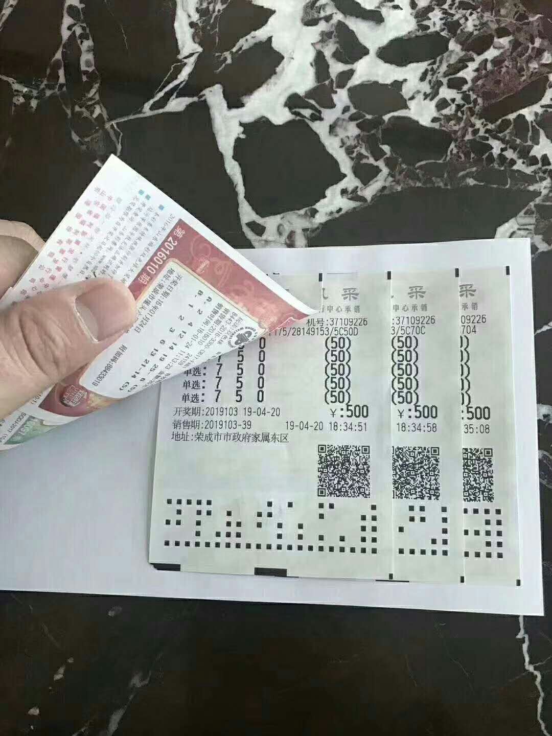 福彩3D牛彩票，图谜总汇首页的探索与解析
