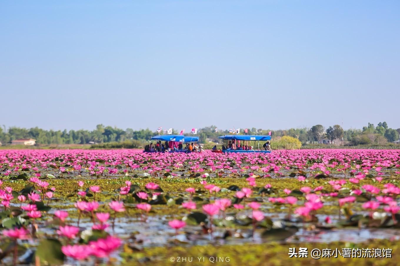 探索太湖全景，一幅自然与人文交织的壮丽画卷