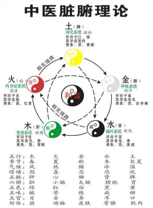探索3D走势图与五行理论的奥秘，揭秘17506的深层含义