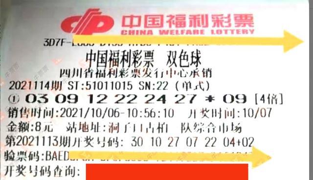 2013年双色球第49期开奖，梦想与幸运的碰撞