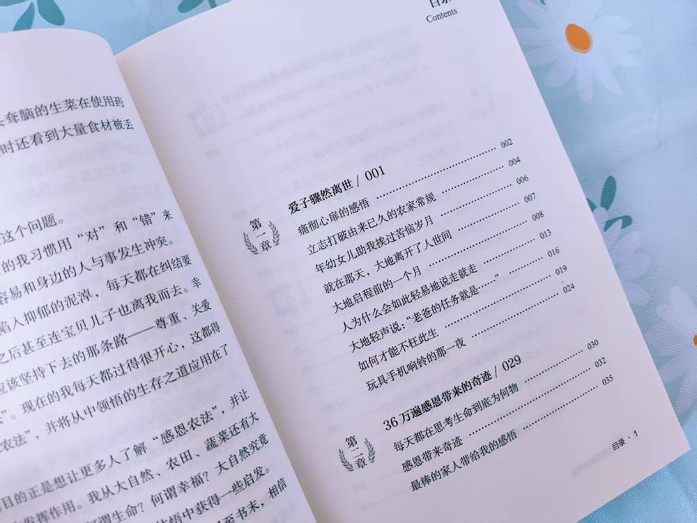 探索红五图库，三毛的经典瞬间与人生汇总