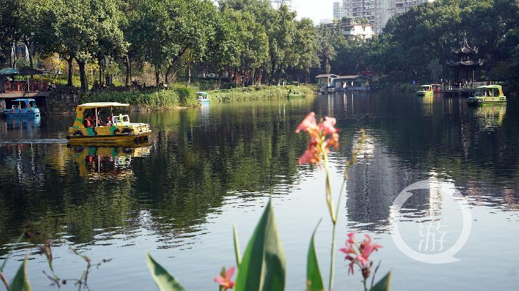 重庆快乐10分开奖软件，数字游戏中的智慧与乐趣