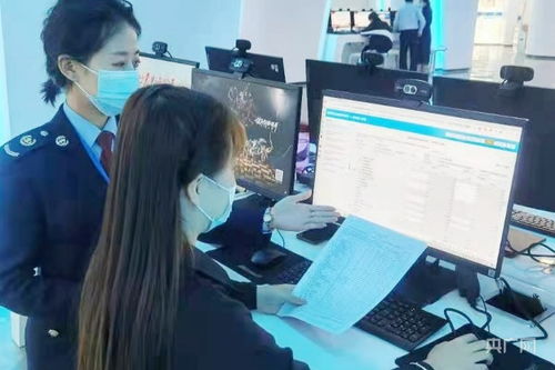 探索便捷高效，国家税务总局网上办税服务大厅的全面解析