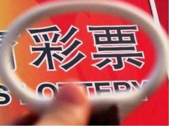 台湾福星彩官网,探索数字彩票的魅力与机遇