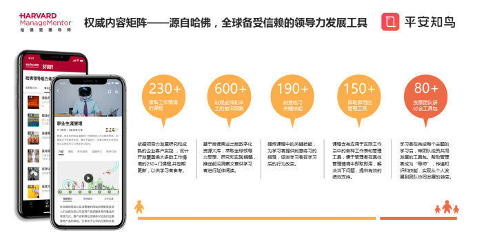 助赢软件官网7629，重塑企业运营的数字化利器