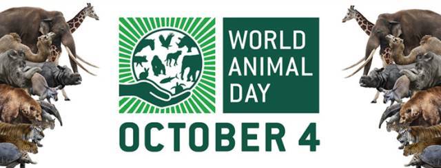 探索与关爱，世界动物日—每年的10月4日的全球性庆典