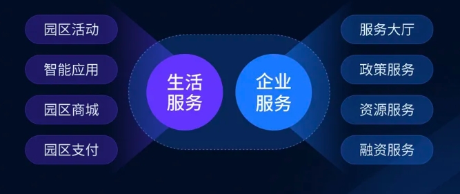 彩宝网30期开机号，揭秘数字背后的幸运与智慧