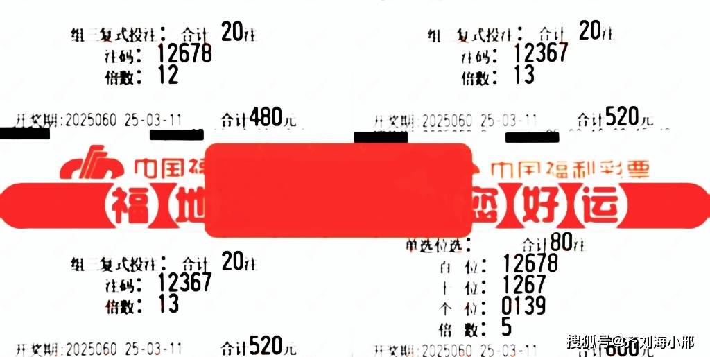 福彩3D298，数字背后的幸运与期待