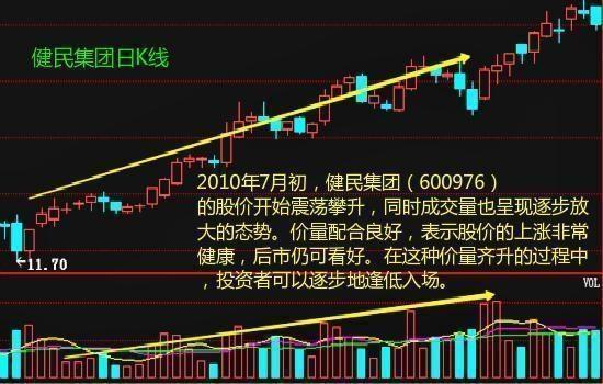 揭秘体坛网双色球星期二走势图，数字背后的奥秘与策略
