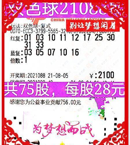 2025年6月7日