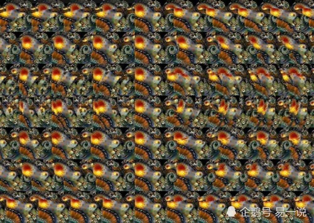 为什么有人看不出3D立体图，探索视觉感知的奥秘