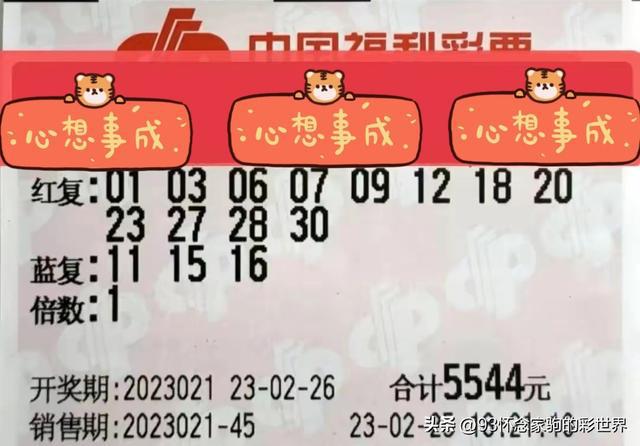 双色球106期开奖揭晓，幸运数字照亮梦想之路