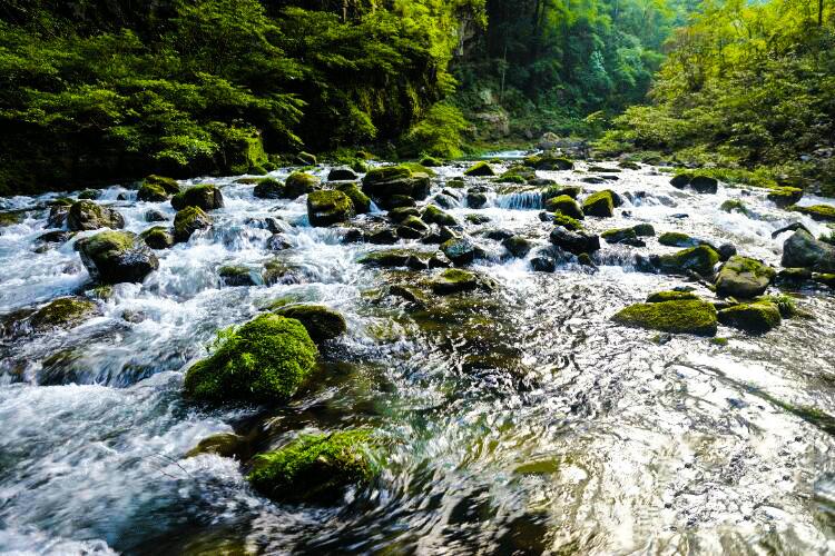 湖北30选5,揭秘一等奖奖金数额与中奖概率