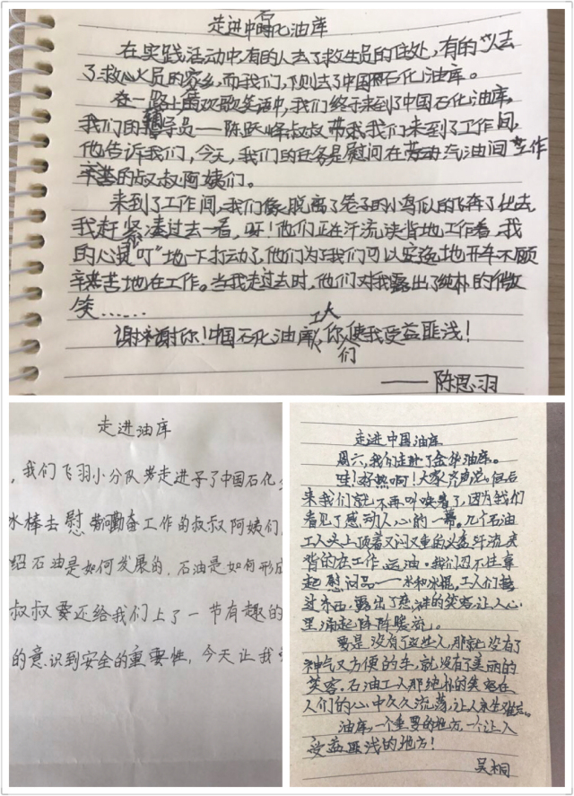 探秘太湖字谜，一场文化与智慧的奇妙之旅